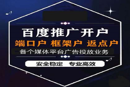成功企业背后的百度推广策略